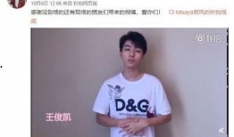 小七最新爆料视频大全,揭秘娱乐圈幕后真相