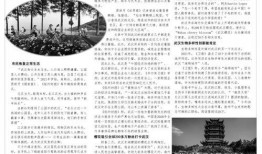 武汉早安爆料最新消息,最新突发！XX事件引发关注