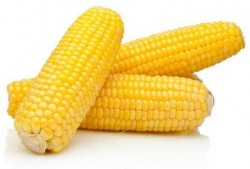 爆料玉米食品安全标准最新,玉米食品安全标准新规，守护餐桌健康