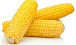 爆料玉米食品安全标准最新,玉米食品安全标准新规，守护餐桌健康