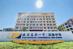高新一中最新爆料,揭秘校园变革背后的故事”