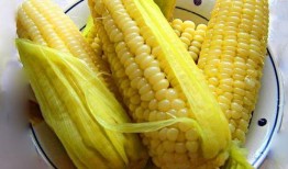 爆料玉米食品安全标准最新,玉米食品安全标准新规，守护餐桌健康