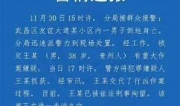 武汉教师爆料案件最新,揭露教育系统内幕，真相令人震惊