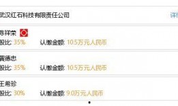 红石公司最新爆料,揭秘行业变革背后的秘密
