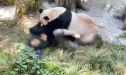 今日动物爆料最新消息,揭秘神秘生物新发现