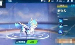 qq飞车手游官网最新宠物爆料,神秘宠物降临！QQ飞车手游全新宠物爆料抢先看