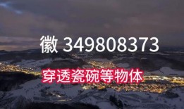 2024最新爆料,揭秘科技、娱乐、政治领域重大事件