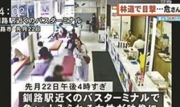 武汉教师爆料案件最新,揭露教育系统内幕，真相令人震惊