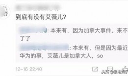 最新爆料出炉的歌曲大全,带你领略音乐新风尚