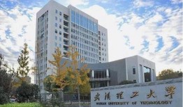 武汉学院最新事件爆料,揭秘校园风云突变背后的真相