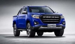 浦北天天网皮卡最新爆料,揭秘皮卡市场新动态