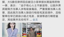 廖玮琪最新爆料新闻,揭秘娱乐圈惊人内幕！”