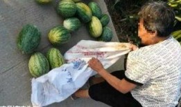 金华最新吃瓜事件爆料,揭秘神秘幕后真相